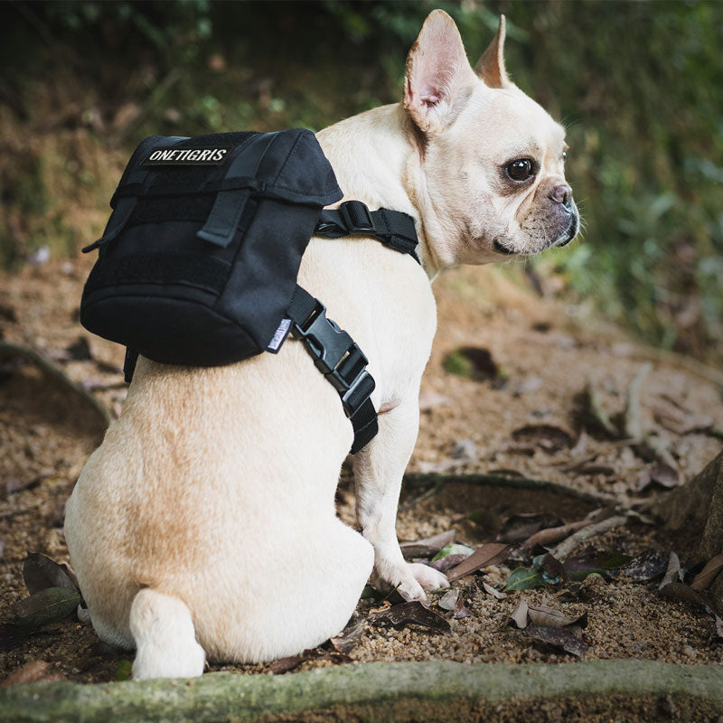 Ryggsäck för Hund - Backpack Small Dog Treat Tote Pack + Litter Bag Exit for Small Dog Travel Camping