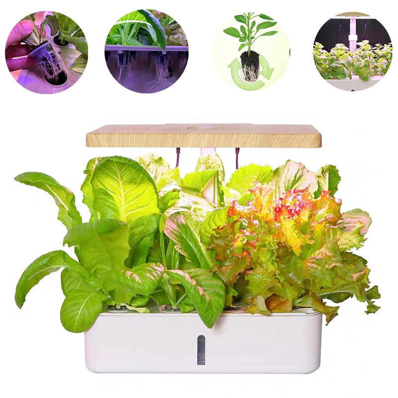 Hydroponisk Köksodlingsträdgård - Hydroponics System kit, 12 pot