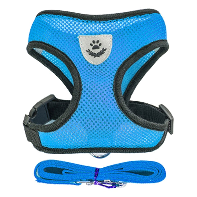 Hundsele koppel för hund och katt. Adjustable leash harness for dog or cat