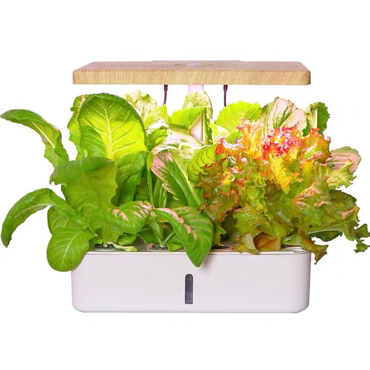 Hydroponisk Köksodlingsträdgård - Hydroponics System kit, 12 pot