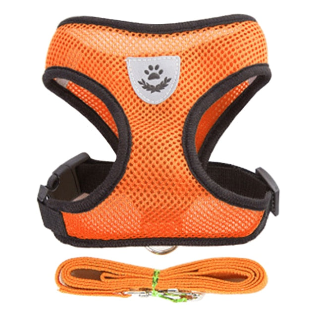 Hundsele koppel för hund och katt. Adjustable leash harness for dog or cat