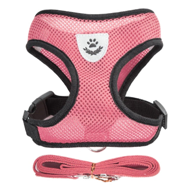 Hundsele koppel för hund och katt. Adjustable leash harness for dog or cat