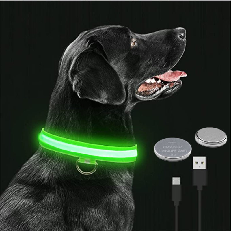 Hundhalsband - LED lysande hundhalsband. Välj: USB-laddning eller batteri