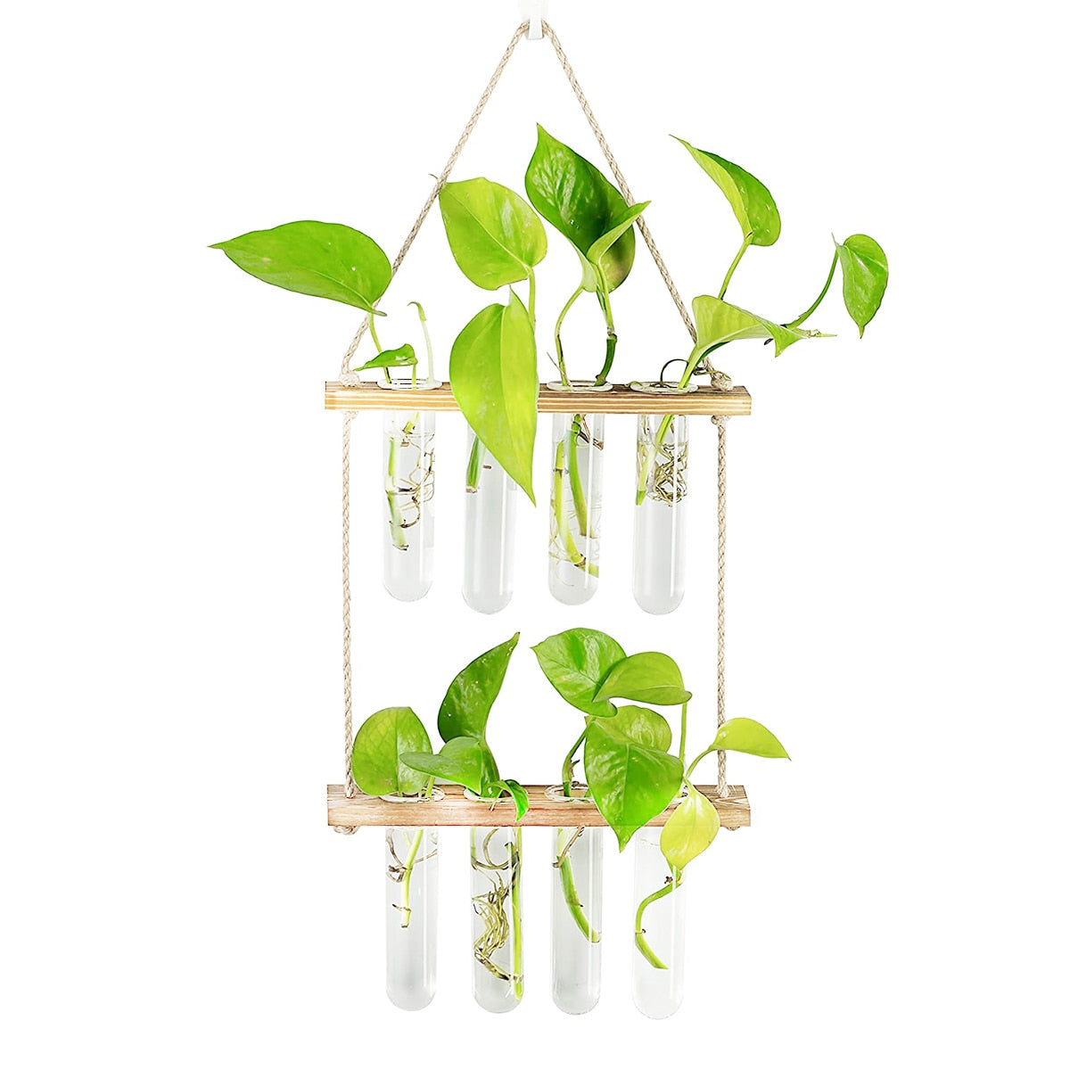 Wall Hanging Glass Planter Terrarium Container Flower Bud Vase with Wooden Test Tube Holder for Propagation Hydroponic Plant