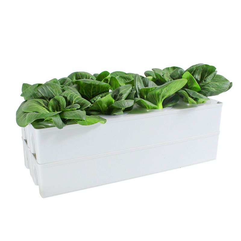 Hydroponisk Köksodling - Hydroponics system kit - Hemmaodling utan jord som medium.