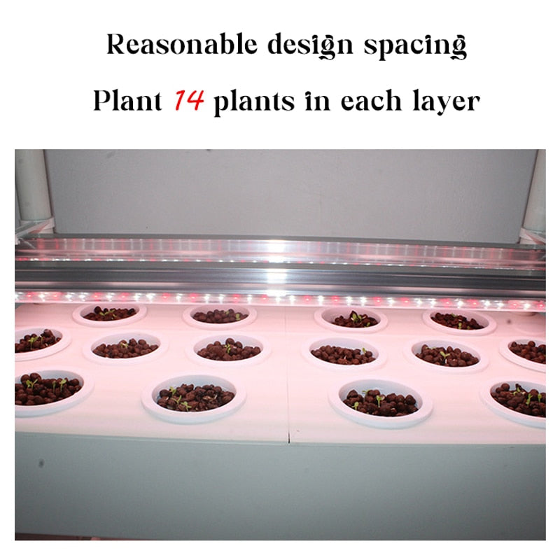 Hydroponiskt odlingssystem - Automatisk LED-odlingslampa - 3 lager 42 växter