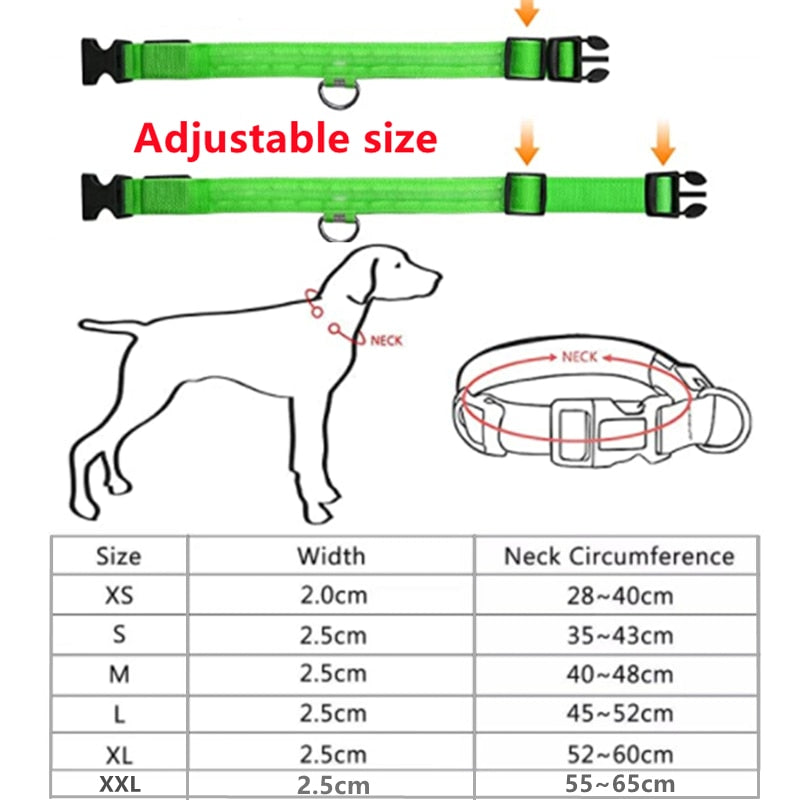 Hundhalsband - LED lysande hundhalsband. Välj: USB-laddning eller batteri