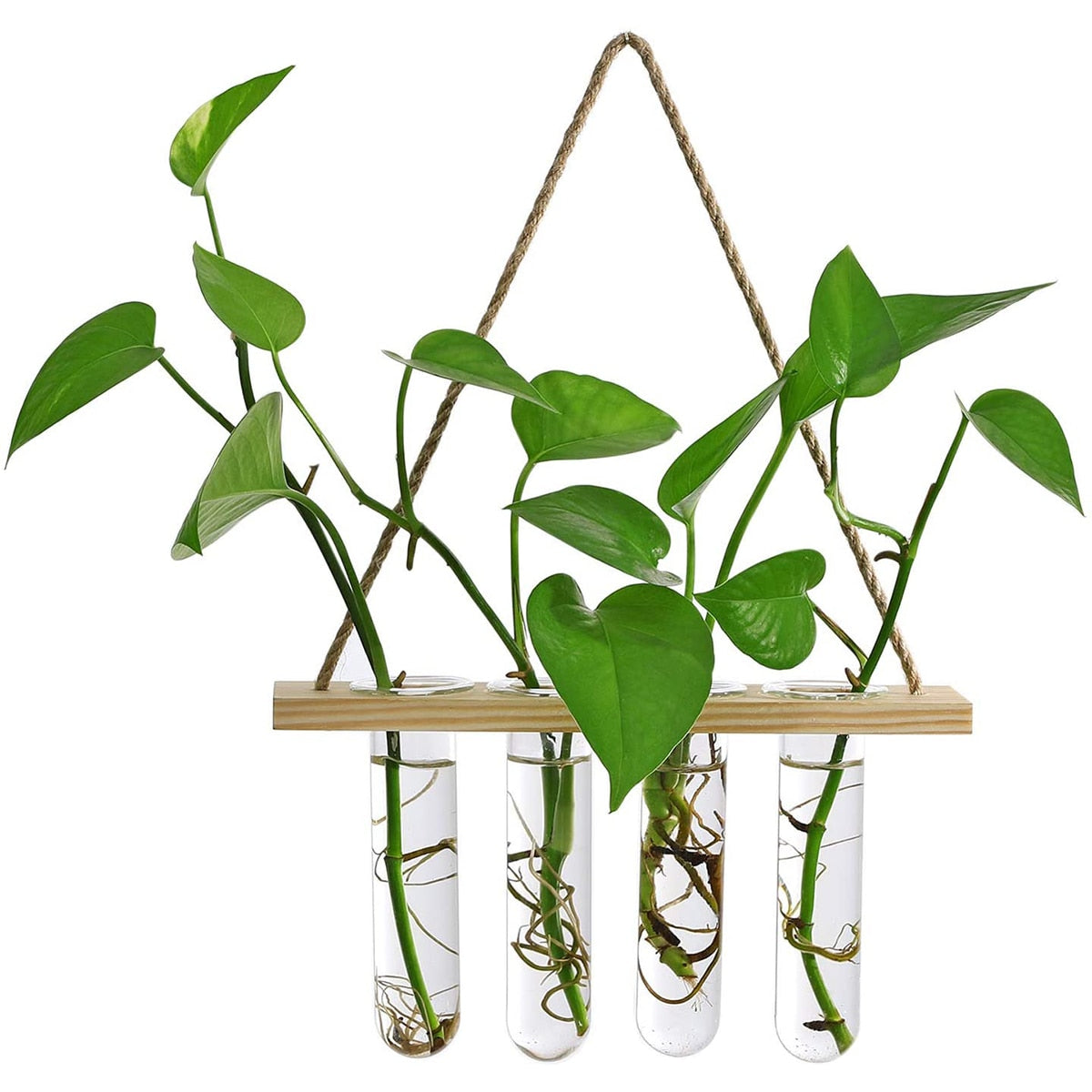 Wall Hanging Glass Planter Terrarium Container Flower Bud Vase with Wooden Test Tube Holder for Propagation Hydroponic Plant