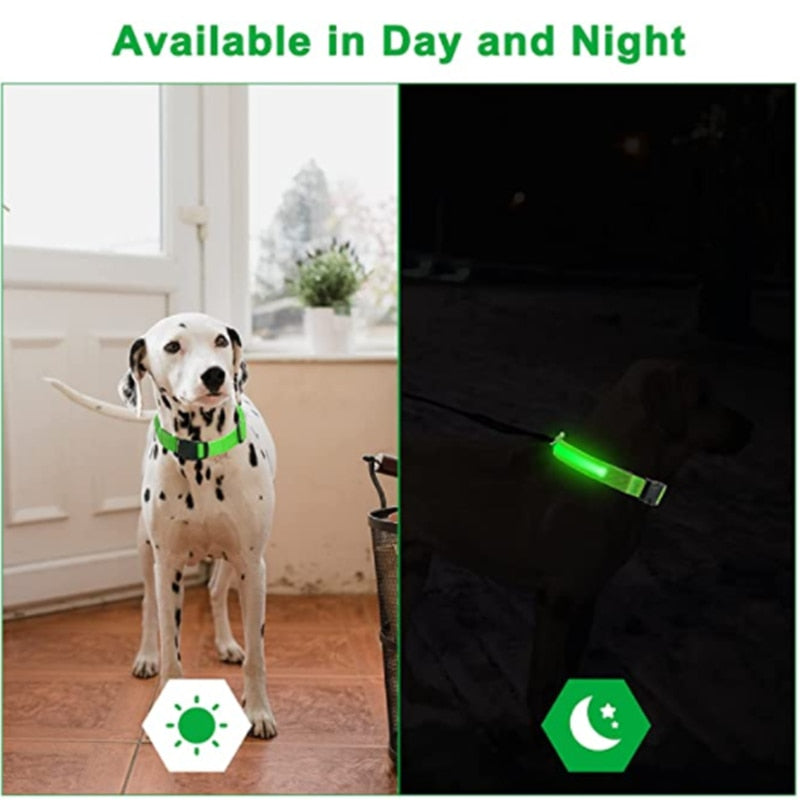 Hundhalsband - LED lysande hundhalsband. Välj: USB-laddning eller batteri