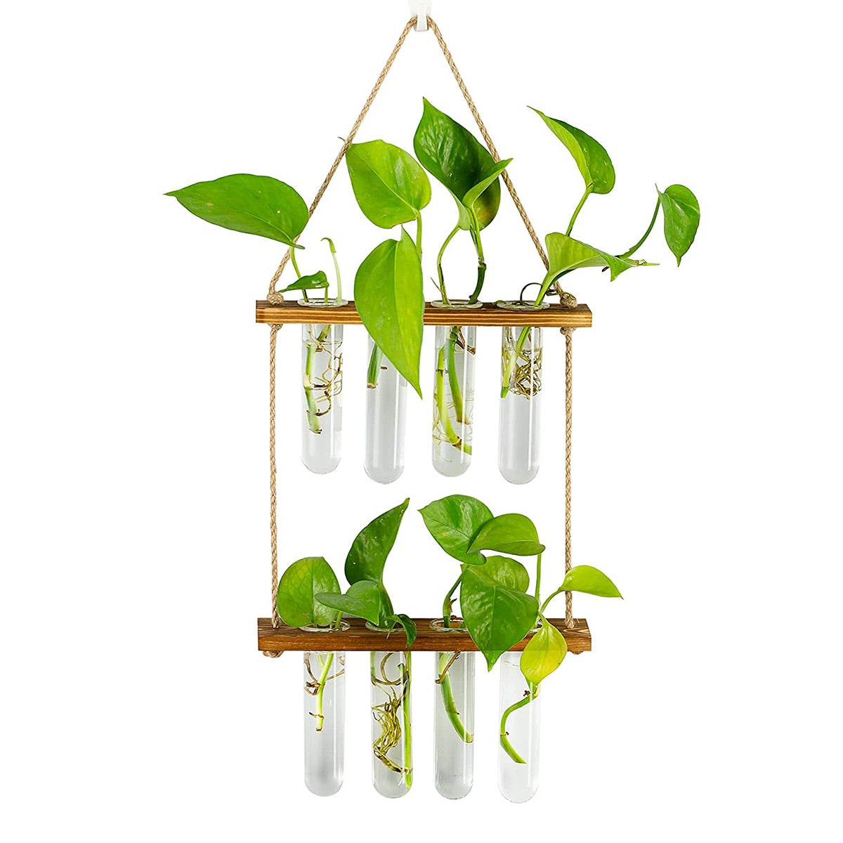 Wall Hanging Glass Planter Terrarium Container Flower Bud Vase with Wooden Test Tube Holder for Propagation Hydroponic Plant