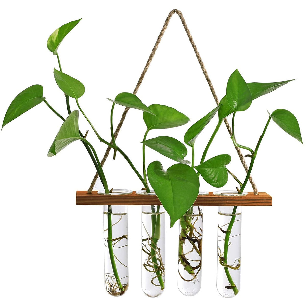 Wall Hanging Glass Planter Terrarium Container Flower Bud Vase with Wooden Test Tube Holder for Propagation Hydroponic Plant