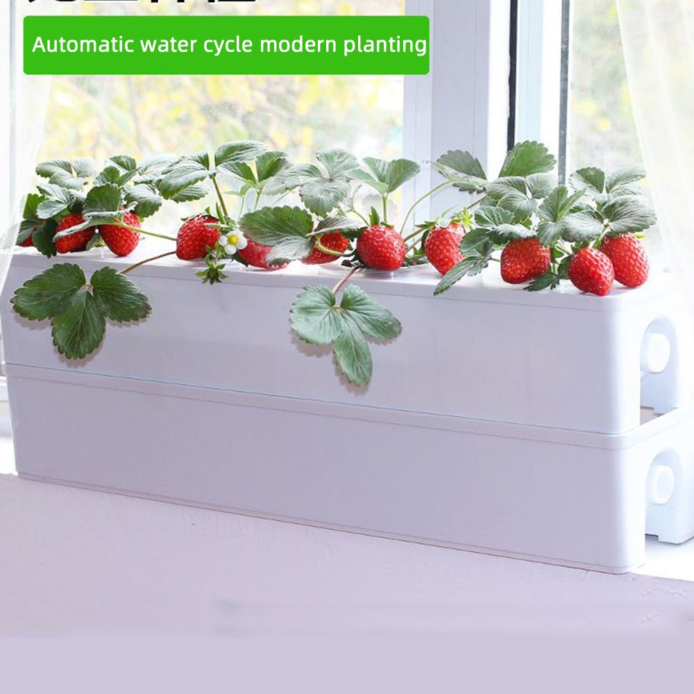 Hydroponisk Köksodling - Hydroponics system kit - Hemmaodling utan jord som medium.