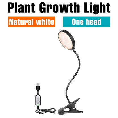 Phytolamp LED UV-Växtlampa