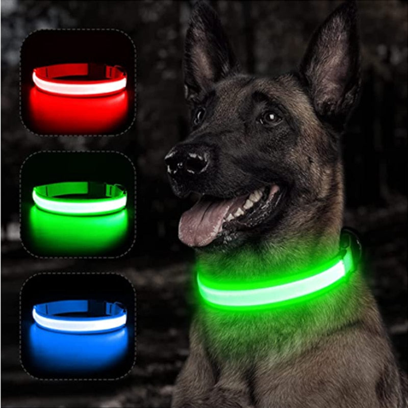 Hundhalsband - LED lysande hundhalsband. Välj: USB-laddning eller batteri