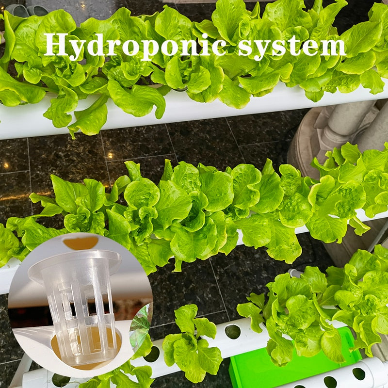 Hydroponisk Odlingssystem, 36 krukhål  - Hydroponic Growth System kits, 36 holes