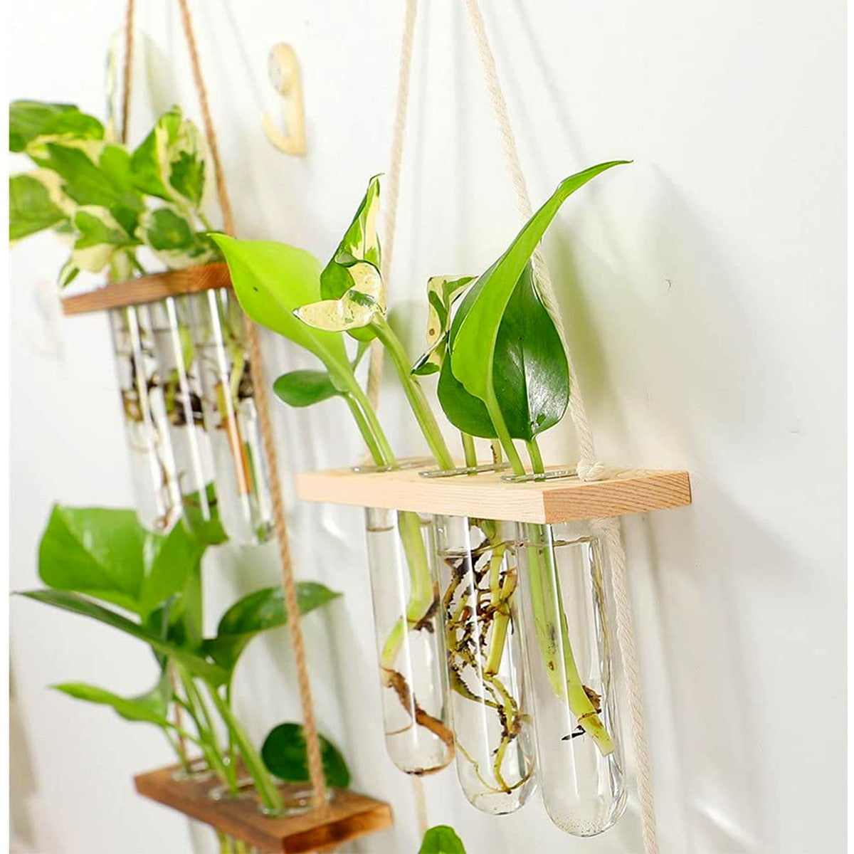 Wall Hanging Glass Planter Terrarium Container Flower Bud Vase with Wooden Test Tube Holder for Propagation Hydroponic Plant